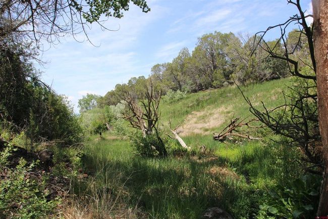 14433 2600 Rd, Home with 0 bedrooms, 0 bathrooms and null parking in Cedaredge CO | Image 33