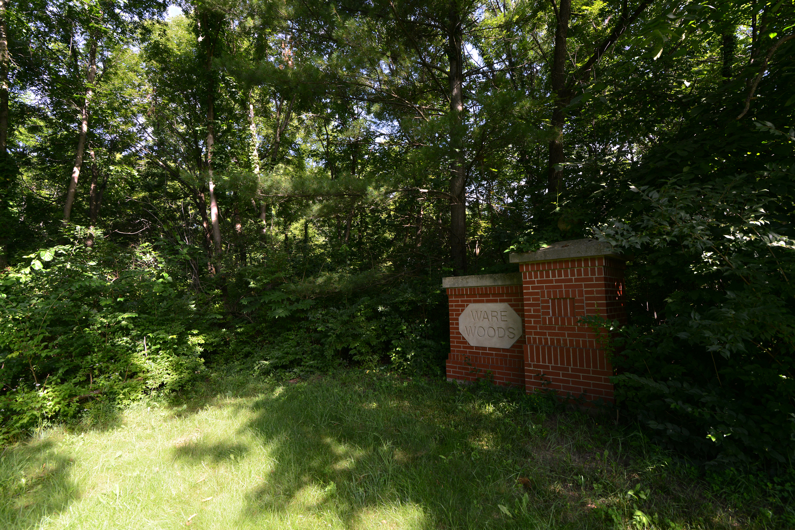 Land in St. Charles 5