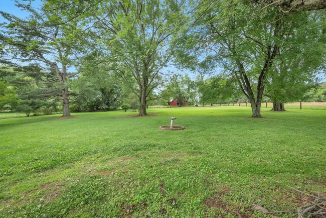 BACK OF 2 ACRES LOOKING WEST TO ADJOINING NEIGHBORS PROPERTY. | Image 12