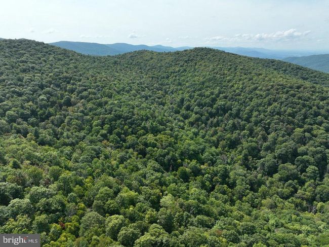 Lot 3 Price Ridge Rd, Home with 0 bedrooms, 0 bathrooms and null parking in STANLEY VA | Image 11