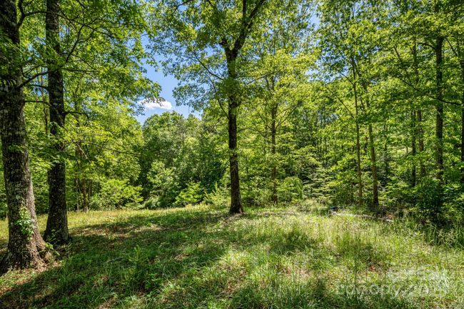 501 Deer Chase Cir, House other with 2 bedrooms, 2 bathrooms and null parking in Cedar Mountain NC | Image 4