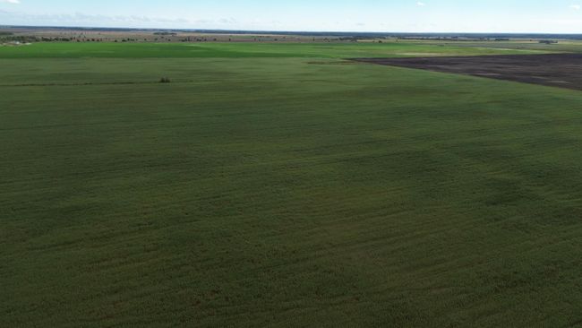 DJI_0016.JPG | Image 8