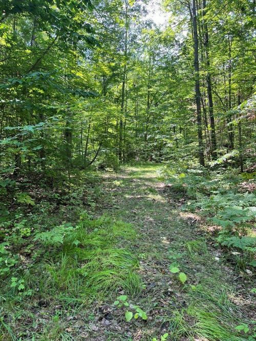 211 Logging Cir, Leroy, MI, 49655 | Card Image