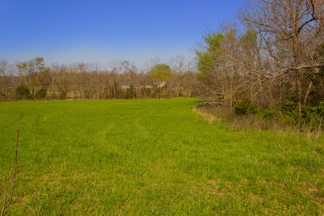 Picture (9 of 24) | Image 17