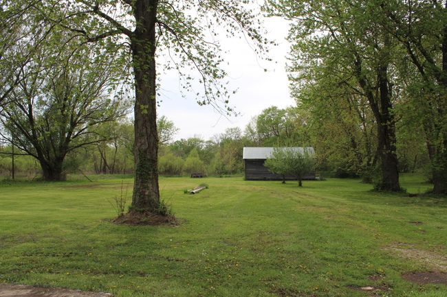 back yard and target backstop | Image 13