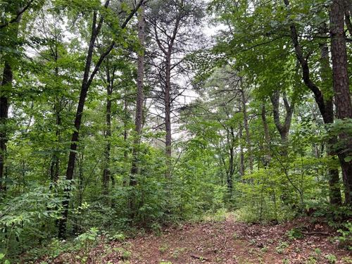 198 Log Round Mountain Trl, Ellijay, GA, 30540 | Card Image