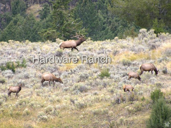 Within minutes to Hardware Ranch | Image 29