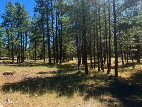 484-2124 Antelope Way, Happy Jack, AZ, 86024 | Card Image