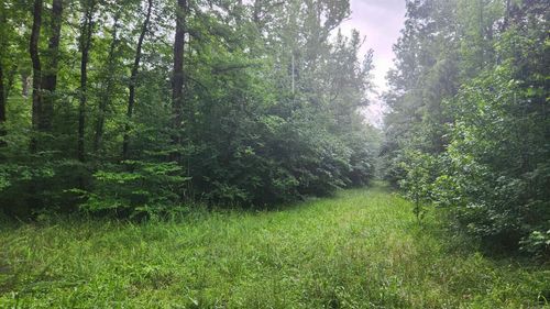 TBD Markerville Rd, Story, AR, 71970 | Card Image