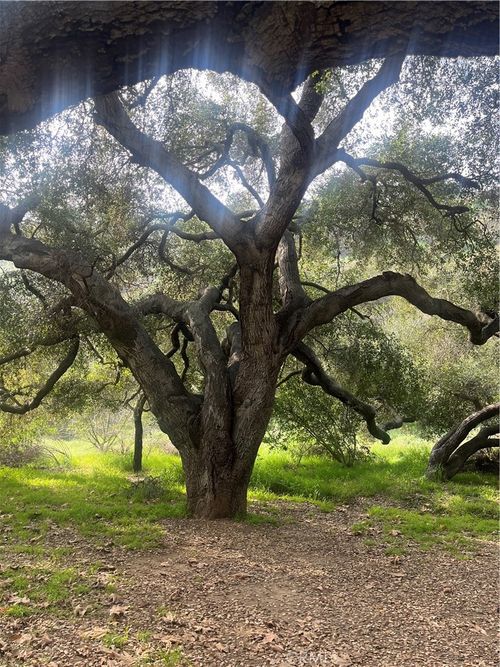 0 Kenwood Ave, Castaic, CA, 91384 | Card Image