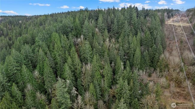 7801 Tolt River Rd Ne, Home with 0 bedrooms, 0 bathrooms and null parking in Carnation WA | Image 18