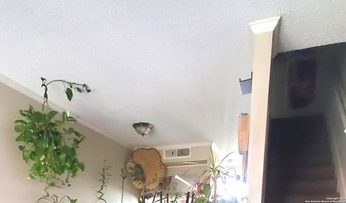 apt-910-3243 Nacogdoches Rd, San Antonio, TX, 78217-3327 | Card Image