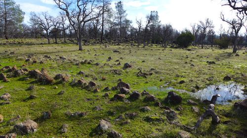 000 Ash Creek Rd, Anderson, CA, 96007 | Card Image