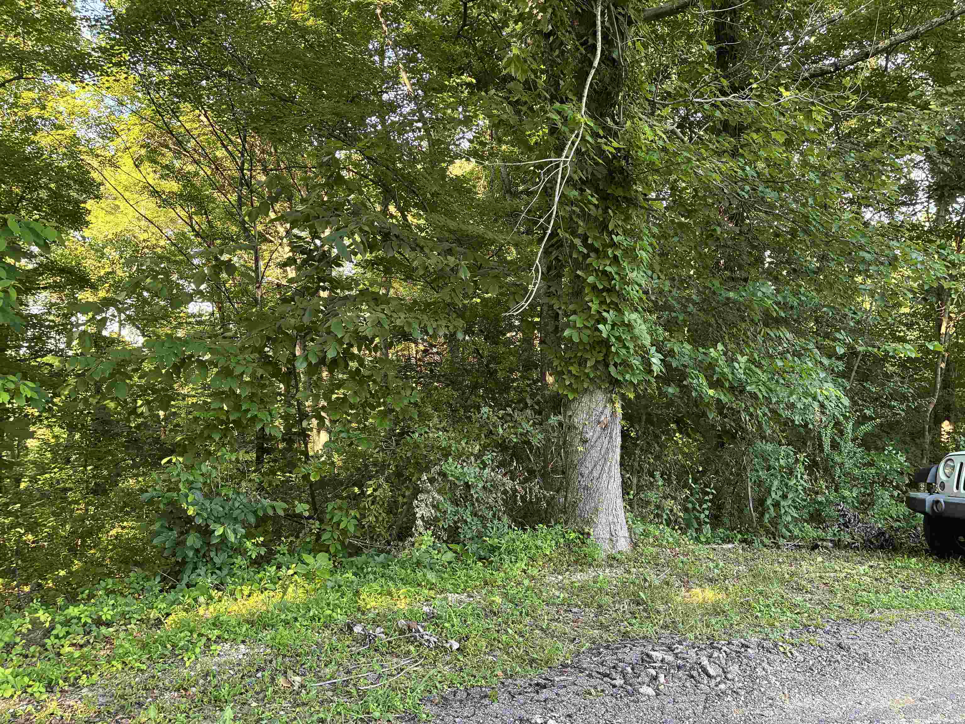 Land in Louisa 3