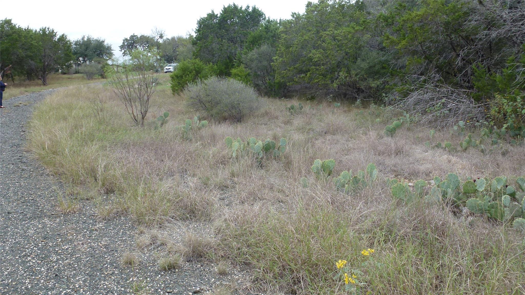 Land in Horseshoe Bay