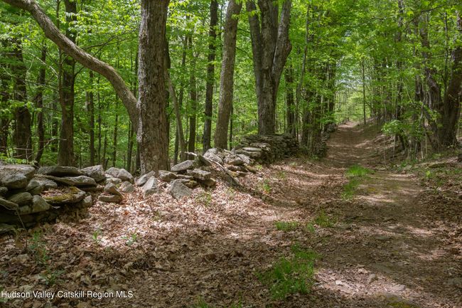 14 - 1214 Armstrong Rd, House other with 7 bedrooms, 4 bathrooms and null parking in Arkville NY | Image 46