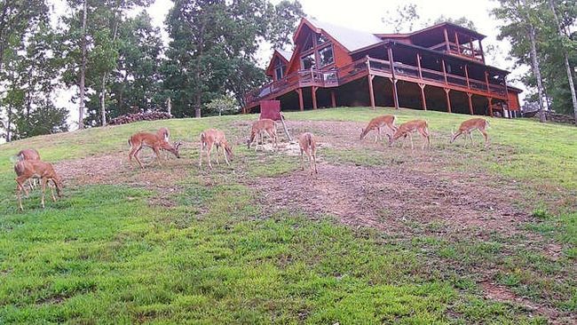 4760 Anderson Rd, Home with 4 bedrooms, 4 bathrooms and 2 parking in Hiawassee GA | Image 84