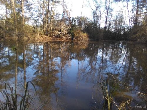 0 Highway 107/Co Rd 47, Fayette, AL, 35555 | Card Image