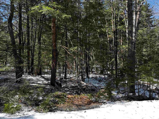 118 - 118 Pauls Place, Home with 0 bedrooms, 0 bathrooms and null parking in Enfield NH | Image 5