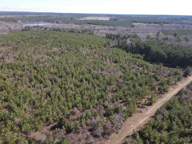 00 Highway 278 Highway, Home with 0 bedrooms, 0 bathrooms and null parking in Rosston AR | Image 31