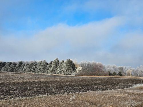 1537 State Highway 91, Lake Wilson, MN, 56151-1029 | Card Image