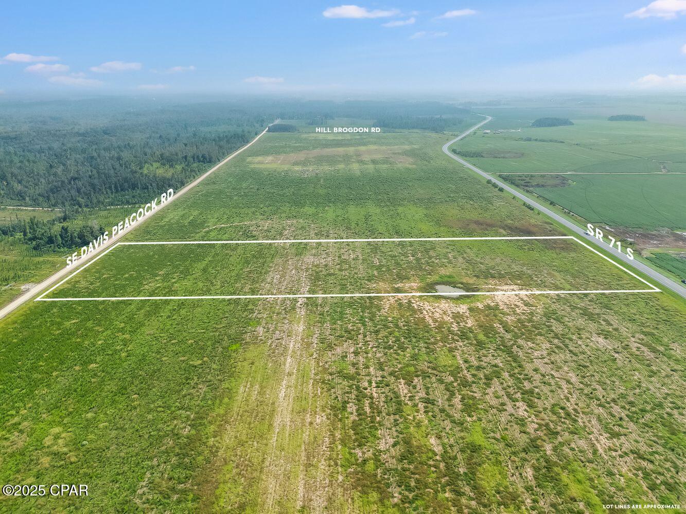 Land in Kinard 5