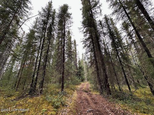 Tract 6& 7 Richardson Hwy, Delta Junction, AK, 99737 | Card Image