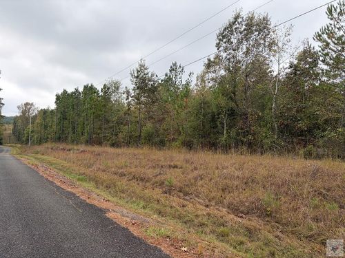 TBD Miller County 35, Doddridge, AR, 71834 | Card Image