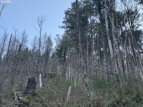 0 Nf-2212, Gates, OR, 97346 | Card Image