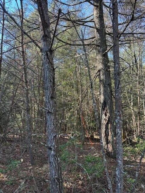 5 N 50th Ave, Gruetli Laager, TN, 37339-4315 | Card Image