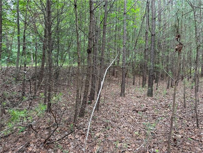 585 Galaxy Way Ne, Home with 0 bedrooms, 0 bathrooms and null parking in Ranger GA | Image 7