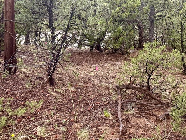 1 N Main St, Home with 0 bedrooms, 0 bathrooms and null parking in Pecos NM | Image 9