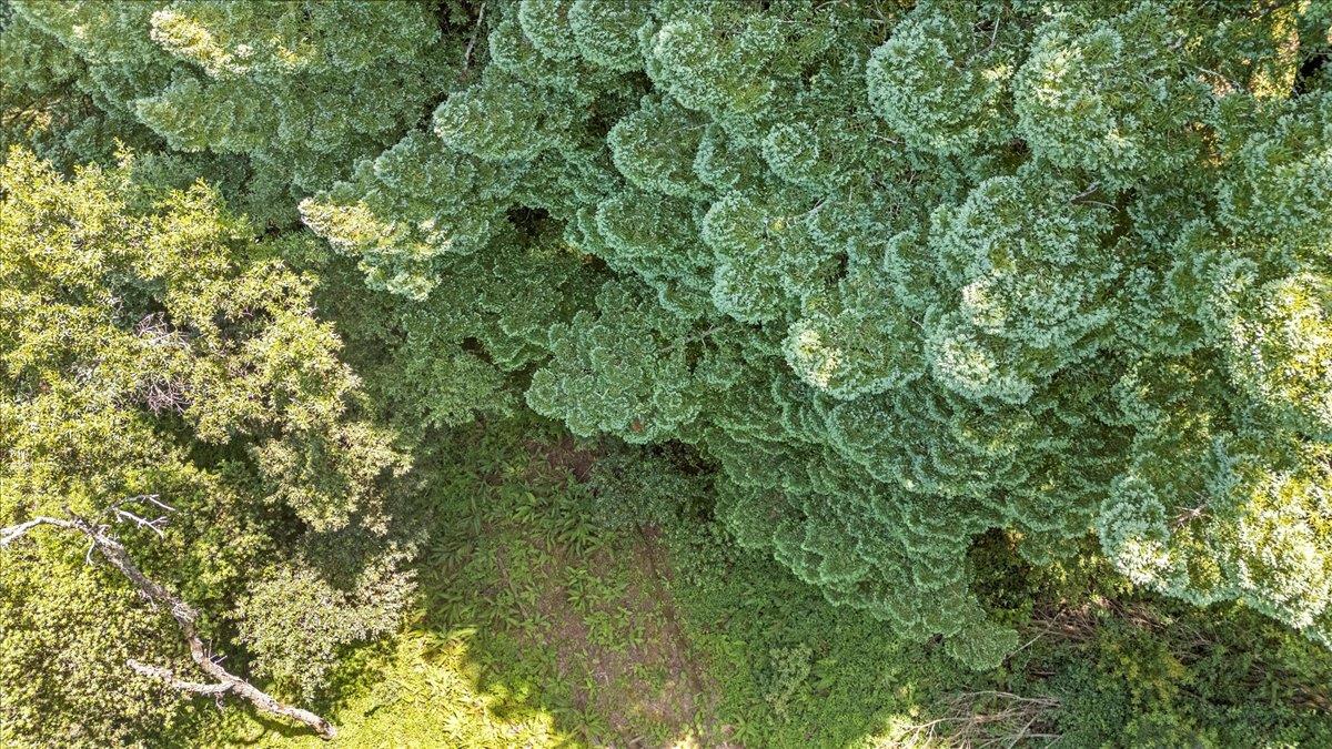 Land in Soquel 5