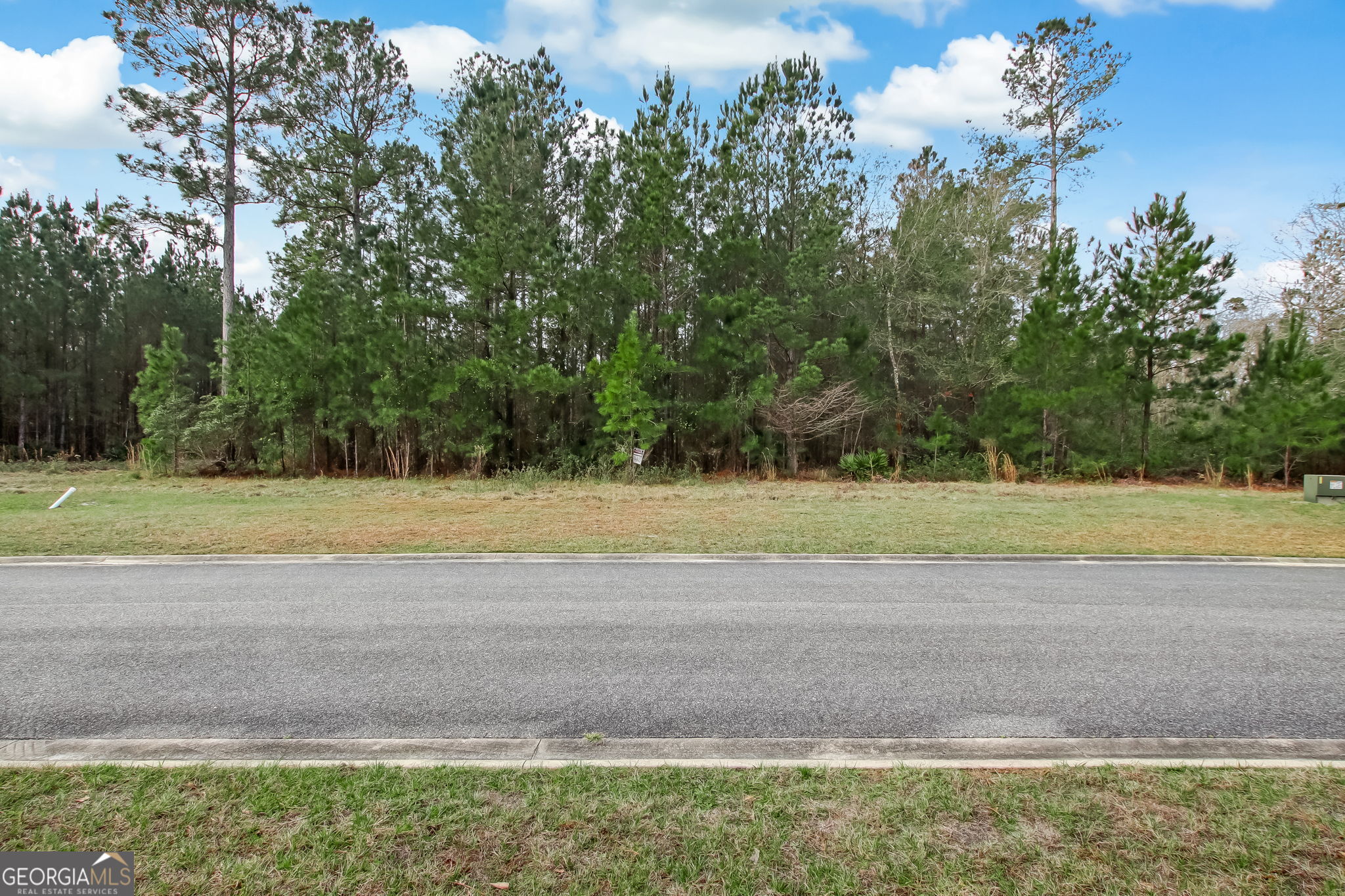 Land in Kingsland 5