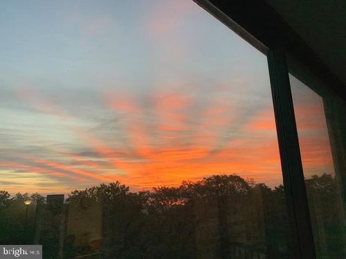 apt-802-5903 Mount Eagle Dr, ALEXANDRIA, VA, 22303-2529 | Card Image