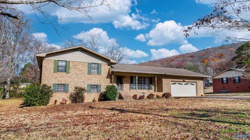 401 38th St Ne, Fort Payne, AL, 35967-3949 | Card Image