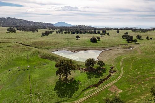 35294 Ruth Hill Rd, Squaw Valley, CA, 93675-9311 | Card Image