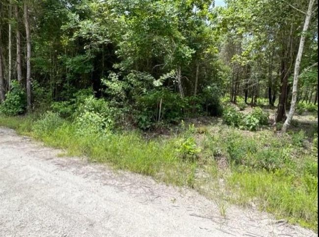 00 Lake Nacogdoches Ranch, Home with 0 bedrooms, 0 bathrooms and null parking in Douglass TX | Image 13