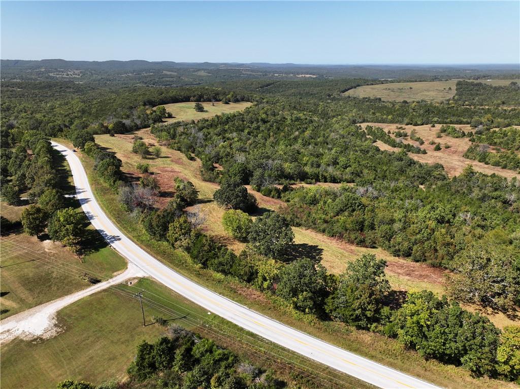Land in Lead Hill 3