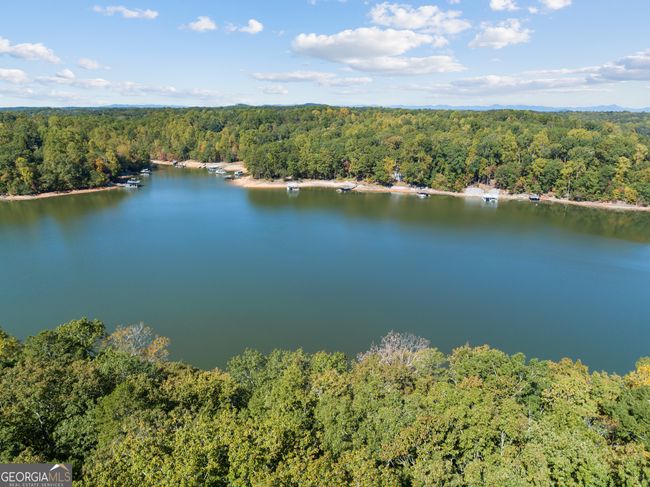 Aerial views from above the current tree line | Image 10