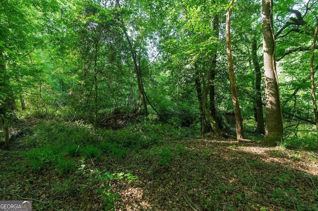 6053 Sun Hill Grange Rd, Home with 0 bedrooms, 0 bathrooms and null parking in Davisboro GA | Image 29