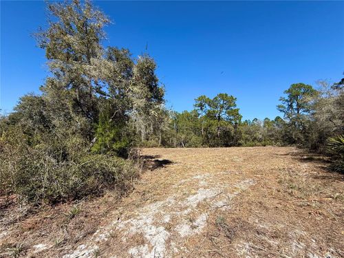 LOT 11 Poinciana St, EUSTIS, FL, 32736 | Card Image