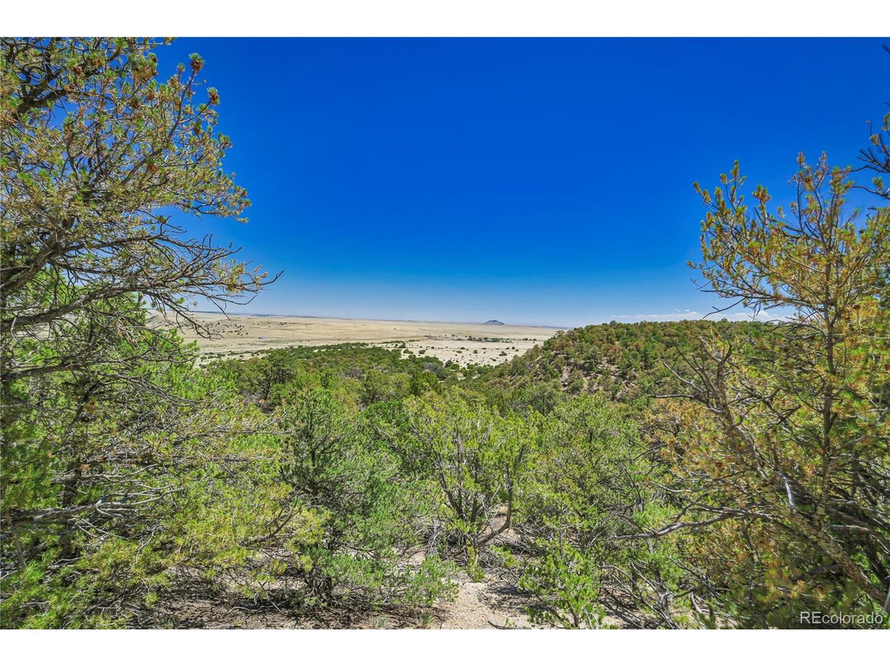 Land in Aguilar 4