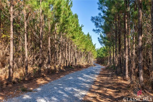 0 Bob Smith Rd, Home with 0 bedrooms, 0 bathrooms and null parking in Stephens GA | Image 8