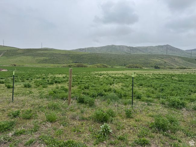Mountain view featuring rural landscape and creek | Image 26
