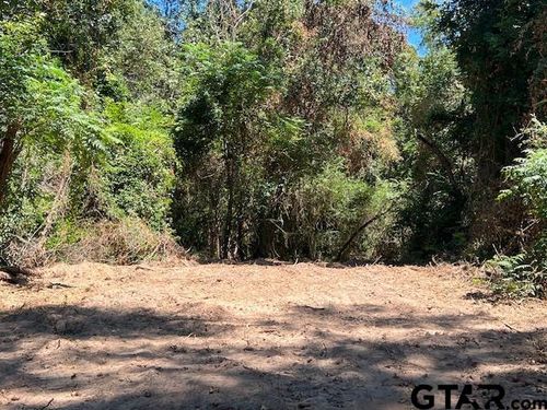 TBD FM 1519 Cr 3322 Lot 1, Pittsburg, TX, 75686 | Card Image