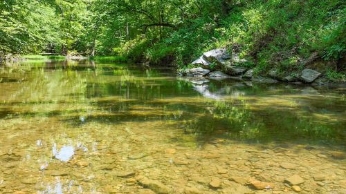 454 Club Hill Rd, Jessieville, AR, 71949-8521 | Card Image