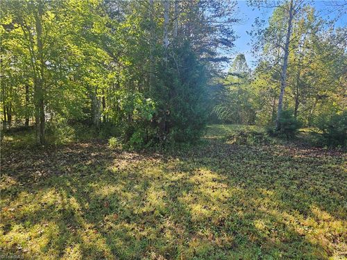 0 Dodgetown Rd, Walnut Cove, NC, 27052 | Card Image