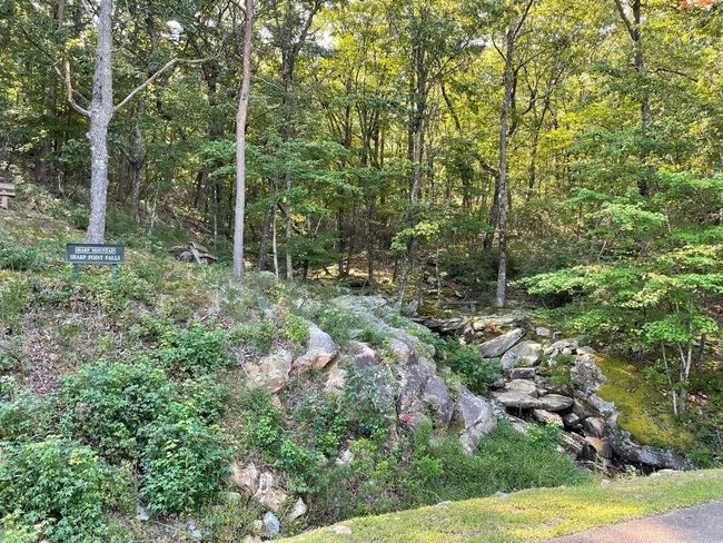 76 Tally Cove Rd, Home with 0 bedrooms, 0 bathrooms and null parking in Jasper GA | Image 28