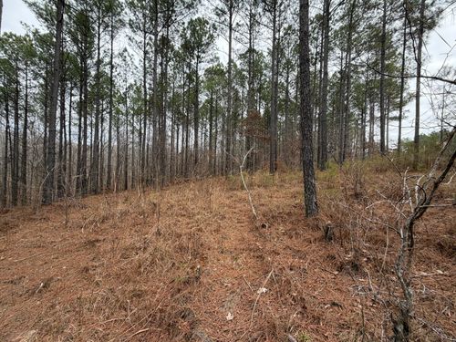 1B Bartlett Rd, Reagan, TN, 38368-6162 | Card Image